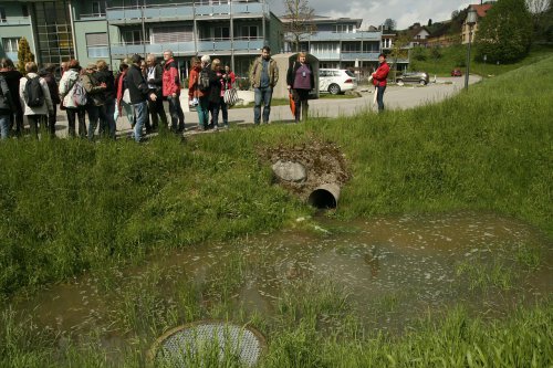 043-appenzell-cerstve-naplneny-vsakovaci-pruleh-veronika-kalnikova