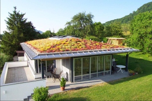 Ilustrační obrázek. Vegetační střecha. Zdroj: http://www.tzb-info.cz/4921-zaklady-spravneho-navrhovani-zelenych-strech
